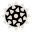 Virus Logo